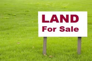 Abogados de Inmobiliaria en Nigeria: Perfección de títulos de tierra