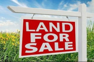 Before buying land in Nigeria: The important things to do – The land due diligence checklist